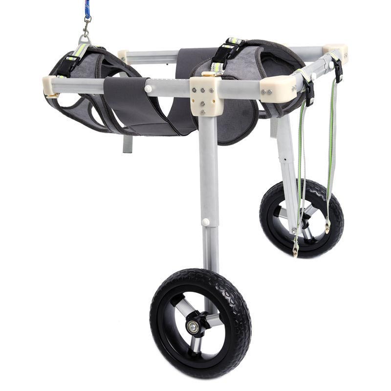 Wheelchair for Donabled Pets: Memberikan lebih banyak perawatan dan dukungan untuk hewan peliharaan